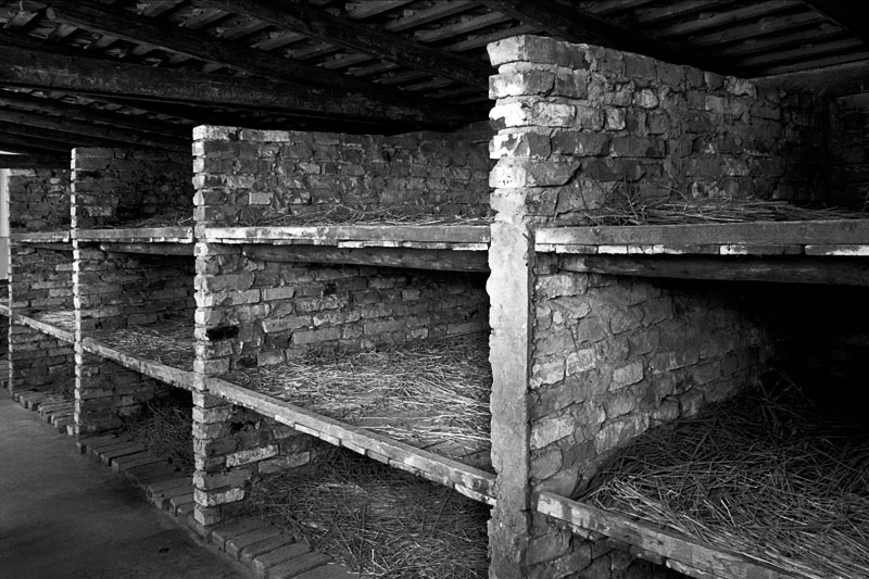 Auschwitz - 1 cell held 8 or 9 people